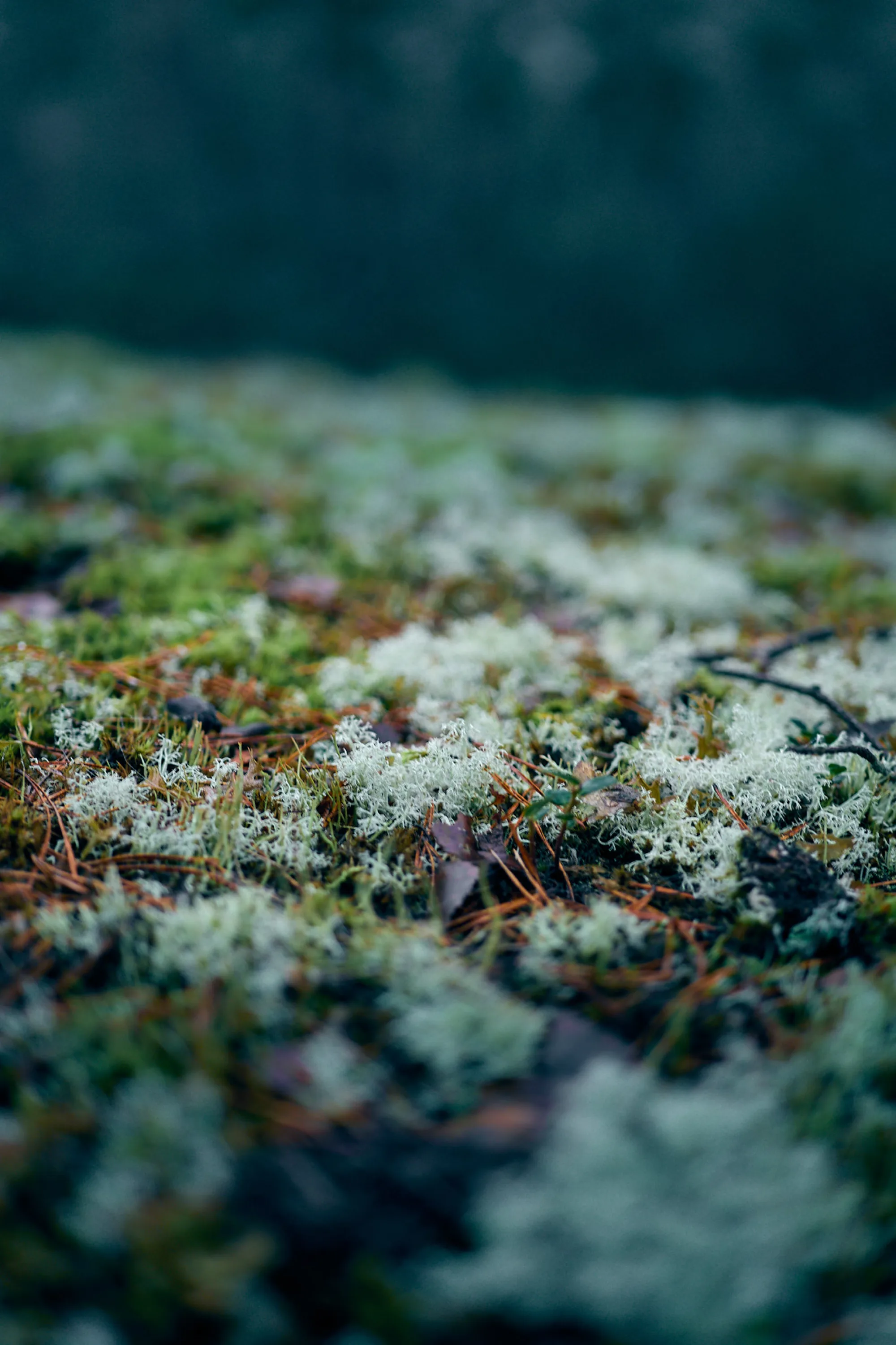 Nature